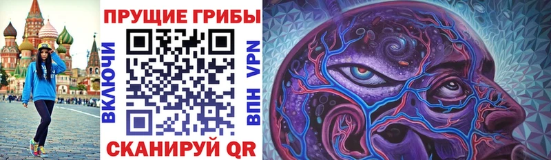 Купить  Городище  Галлюциногенные грибы Psilocybine cubensis 